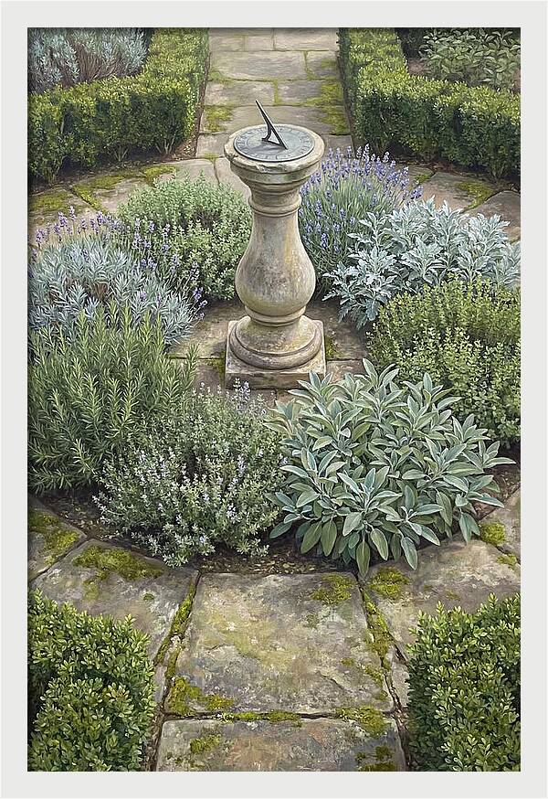 Garden Sundial Amidst Herbs