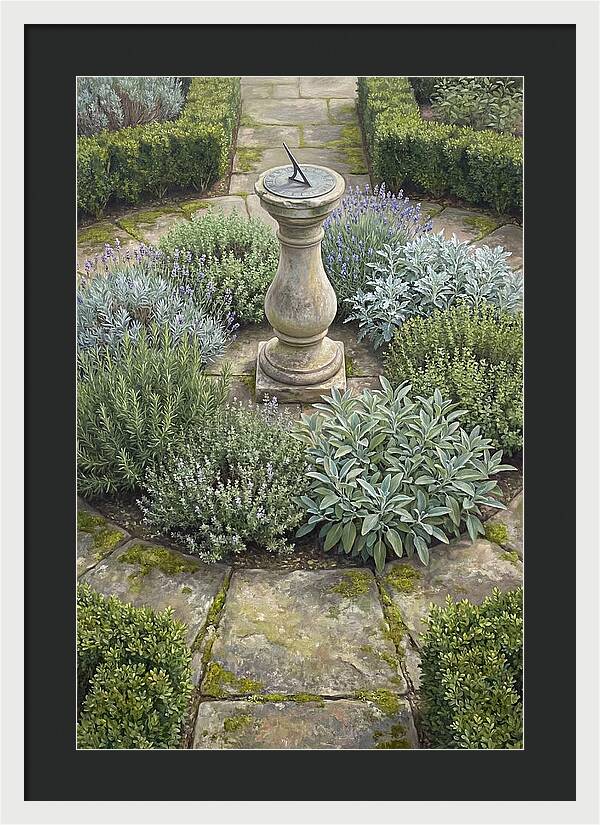 Garden Sundial Amidst Herbs