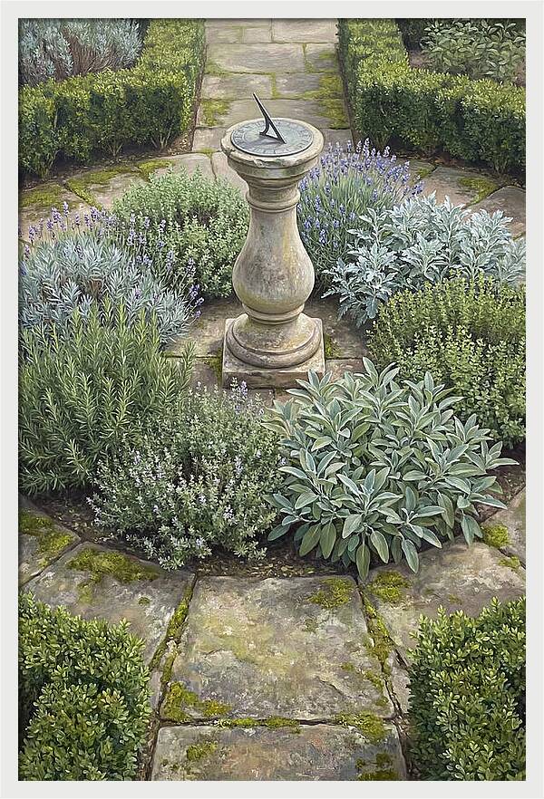 Garden Sundial Amidst Herbs