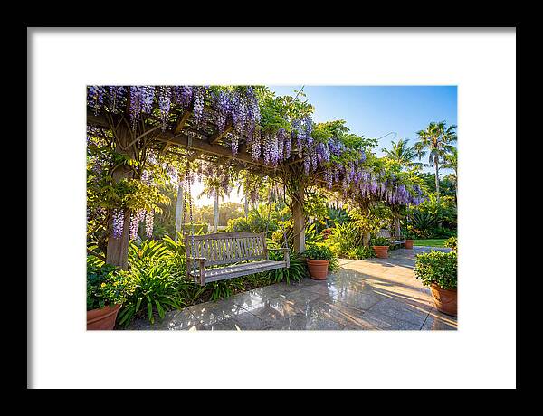 Garden Swing Under Wisteria