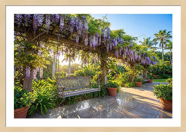 Garden Swing Under Wisteria