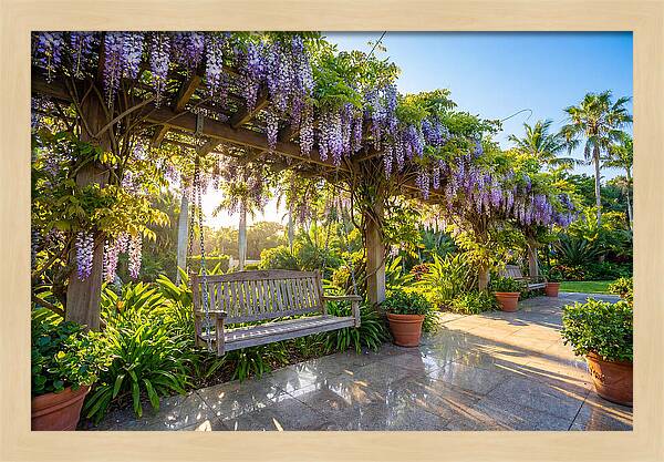 Garden Swing Under Wisteria