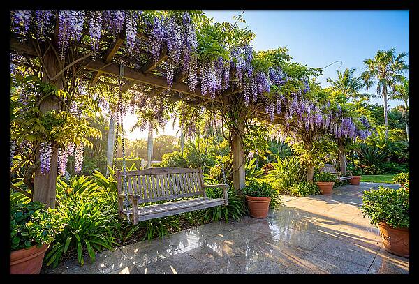 Garden Swing Under Wisteria