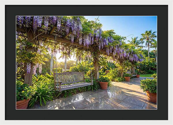 Garden Swing Under Wisteria