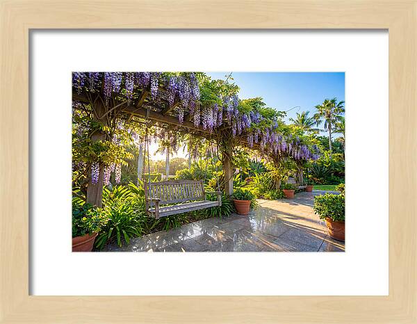Garden Swing Under Wisteria