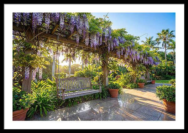 Garden Swing Under Wisteria