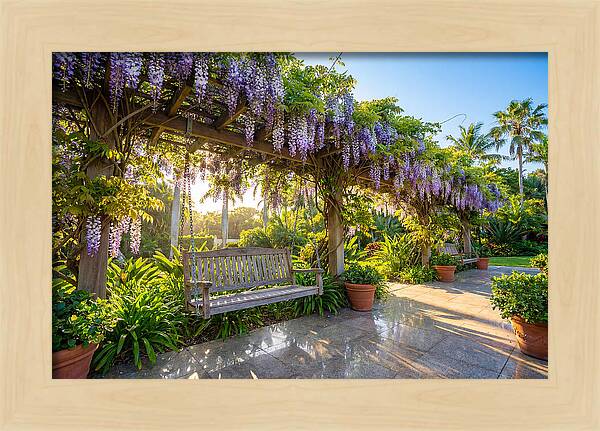 Garden Swing Under Wisteria