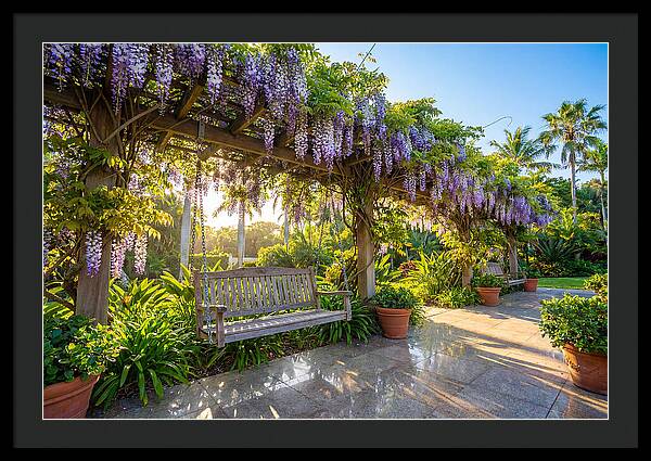 Garden Swing Under Wisteria