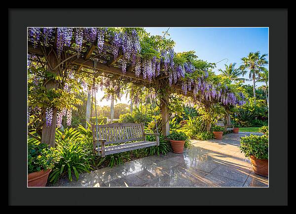 Garden Swing Under Wisteria