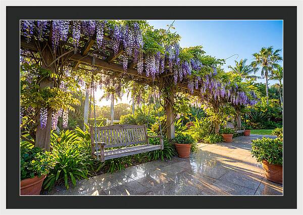 Garden Swing Under Wisteria