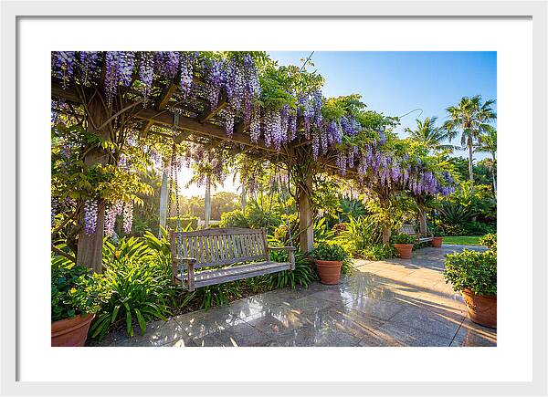 Garden Swing Under Wisteria