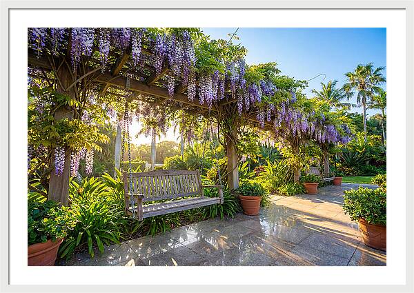 Garden Swing Under Wisteria