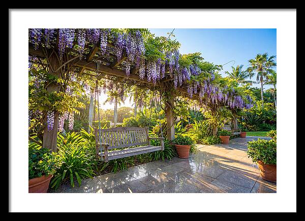 Garden Swing Under Wisteria
