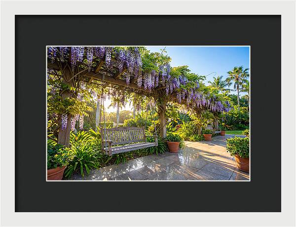 Garden Swing Under Wisteria