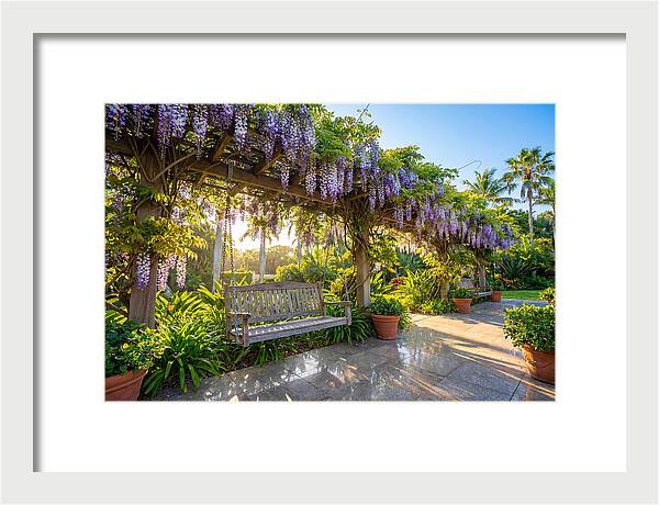 Garden Swing Under Wisteria