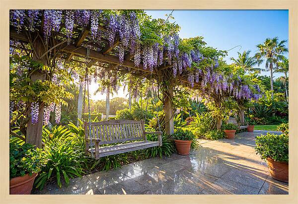 Garden Swing Under Wisteria