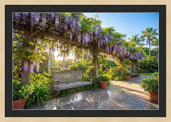 Garden Swing Under Wisteria