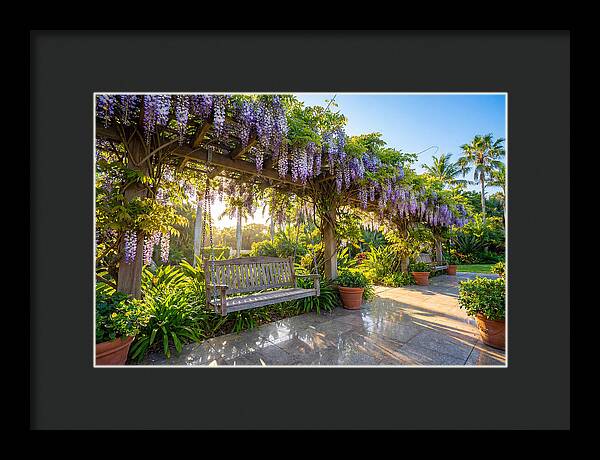 Garden Swing Under Wisteria