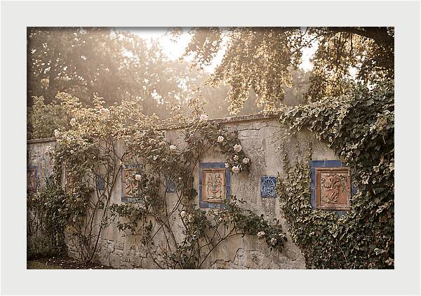 Garden Wall With Ornamental Tiles