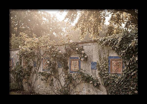 Garden Wall With Ornamental Tiles