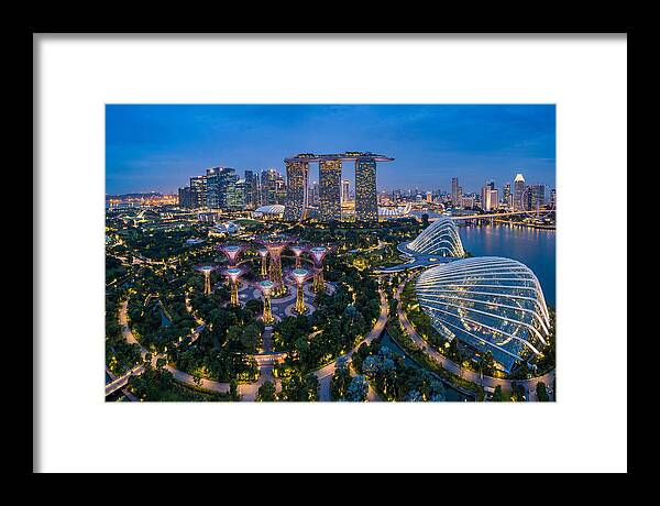 Gardens By The Bay At Dusk