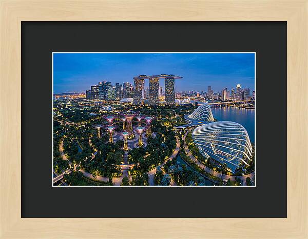 Gardens By The Bay At Dusk