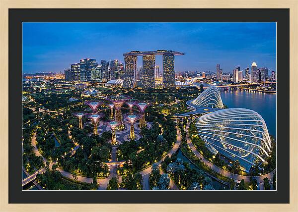 Gardens By The Bay At Dusk