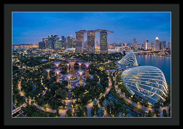 Gardens By The Bay At Dusk
