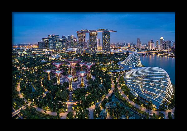 Gardens By The Bay At Dusk
