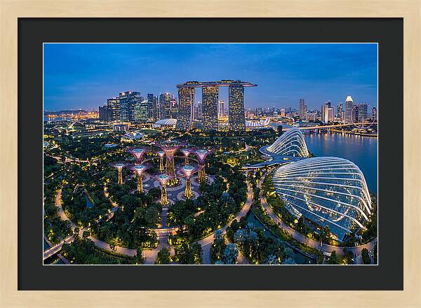 Gardens By The Bay At Dusk