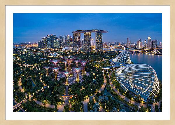 Gardens By The Bay At Dusk