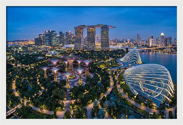 Gardens By The Bay At Dusk