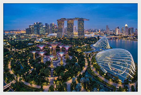 Gardens By The Bay At Dusk
