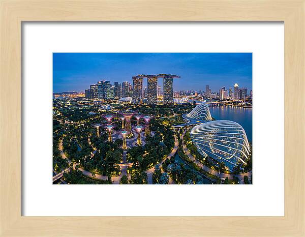 Gardens By The Bay At Dusk