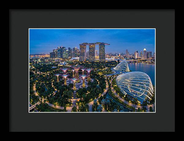Gardens By The Bay At Dusk