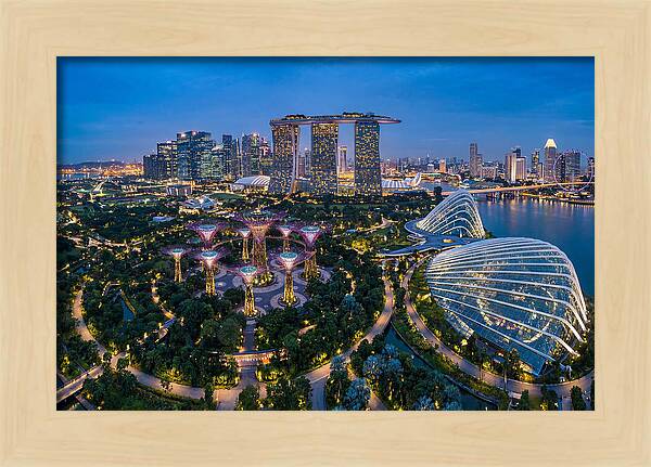 Gardens By The Bay At Dusk