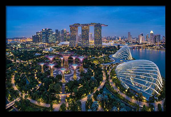 Gardens By The Bay At Dusk