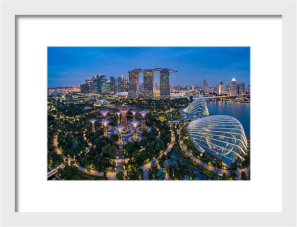 Gardens By The Bay At Dusk