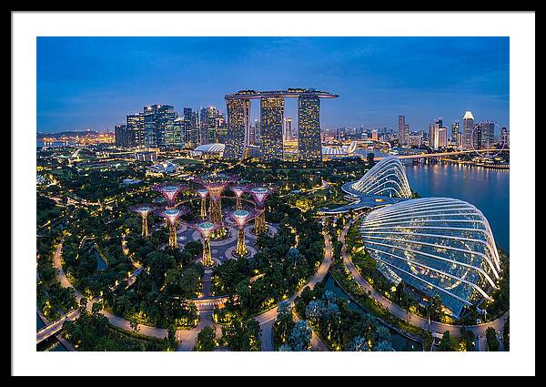 Gardens By The Bay At Dusk