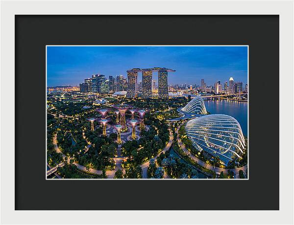Gardens By The Bay At Dusk