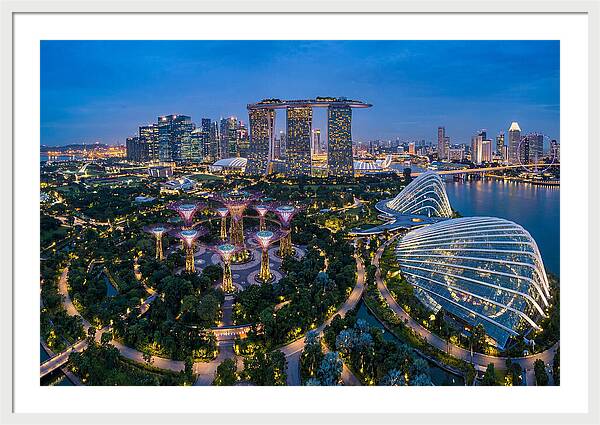 Gardens By The Bay At Dusk