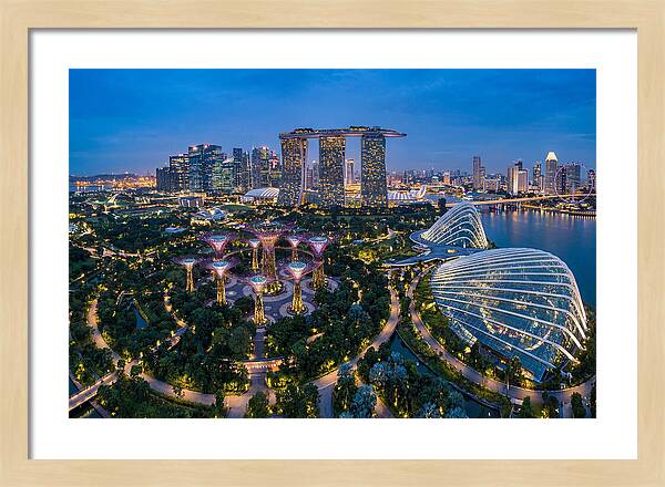 Gardens By The Bay At Dusk