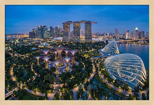 Gardens By The Bay At Dusk