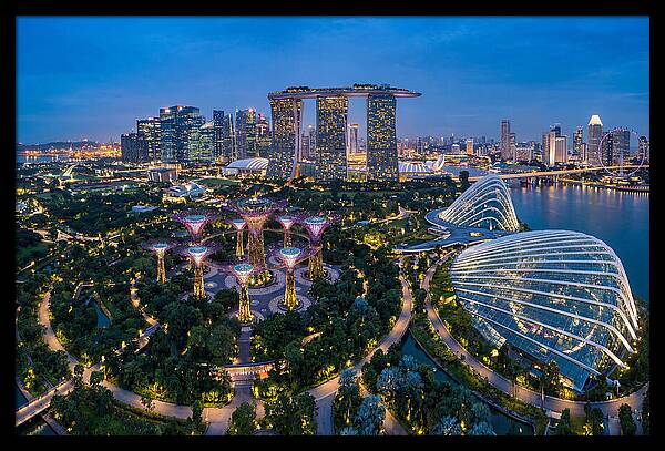 Gardens By The Bay At Dusk