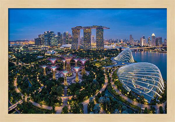 Gardens By The Bay At Dusk