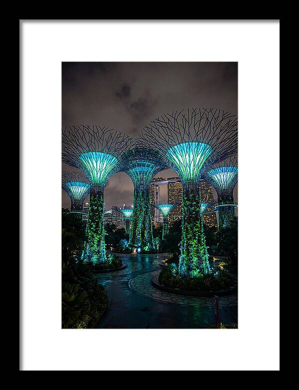 Gardens By The Bay Supertrees