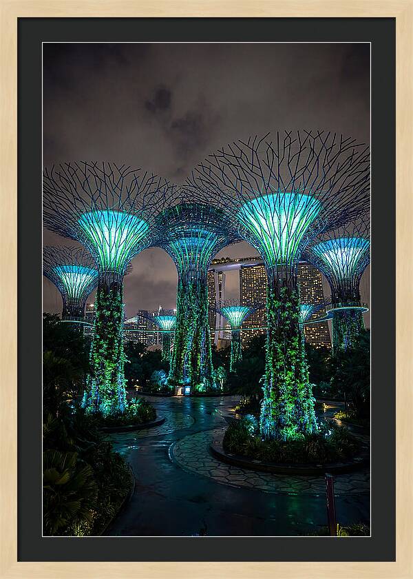 Gardens By The Bay Supertrees