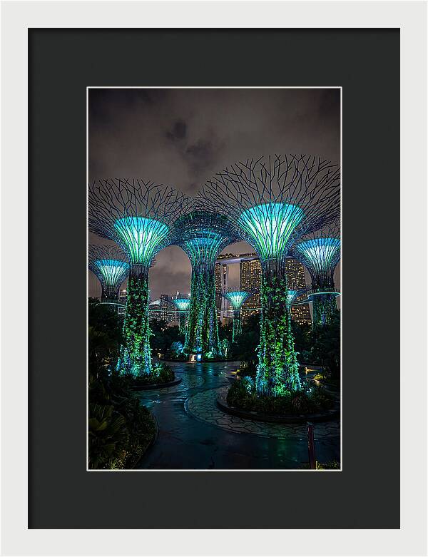 Gardens By The Bay Supertrees