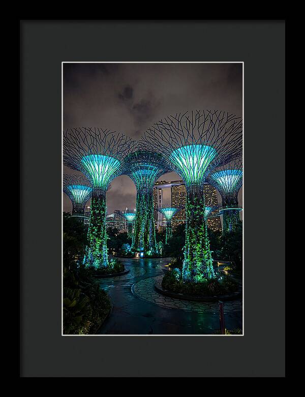 Gardens By The Bay Supertrees
