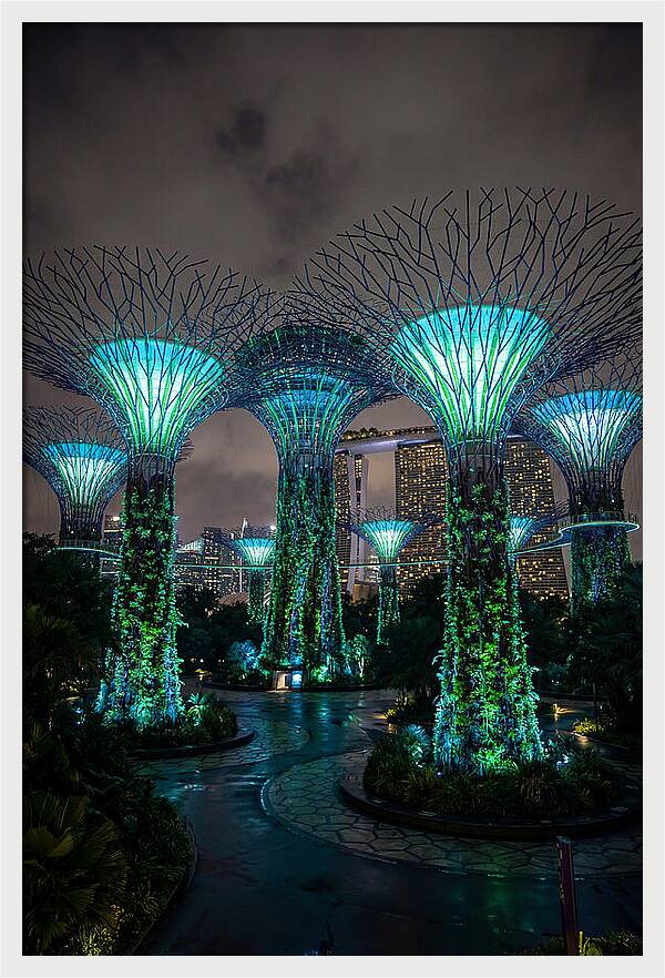 Gardens By The Bay Supertrees